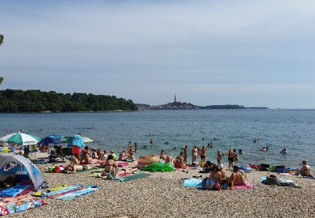 Ferienwohnung in Rovinj - Ferienwohnung in Rovinj mit Terrasse, Klimaanlage, W-LAN, Waschmaschine (4686-2) Ferienwohnung in Rovinj - Ferienwohnung in Rovinj mit Terrasse, Klimaanlage, W-LAN, Waschmaschine (4686-2)