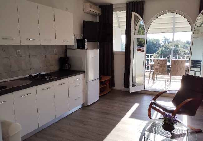 Ferienwohnung in Rovinj - Ferienwohnung in Rovinj mit Terrasse, Klimaanlage, W-LAN, Waschmaschine (4686-3) Ferienwohnung in Rovinj - Ferienwohnung in Rovinj mit Terrasse, Klimaanlage, W-LAN, Waschmaschine (4686-3)