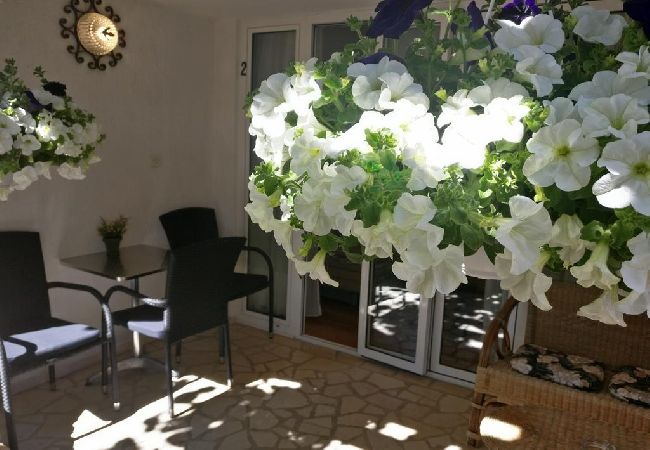 Studio in Rovinj - Studioapartment in Rovinj mit Terrasse, Klimaanlage, W-LAN, Waschmaschine (4686-4) Studio in Rovinj - Studioapartment in Rovinj mit Terrasse, Klimaanlage, W-LAN, Waschmaschine (4686-4)