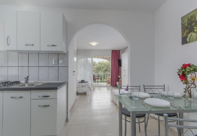 Studio in Rovinj - Studioapartment in Rovinj mit Terrasse, Klimaanlage, W-LAN, Waschmaschine (4686-5) Studio in Rovinj - Studioapartment in Rovinj mit Terrasse, Klimaanlage, W-LAN, Waschmaschine (4686-5)
