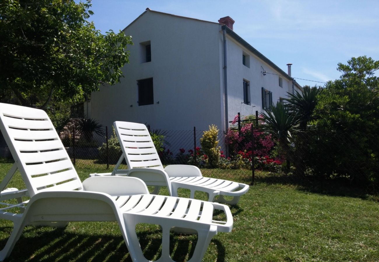 Ferienhaus in Supetarska Draga - Ferienhaus in Supetarska Draga mit Terrasse, W-LAN (4544-1)