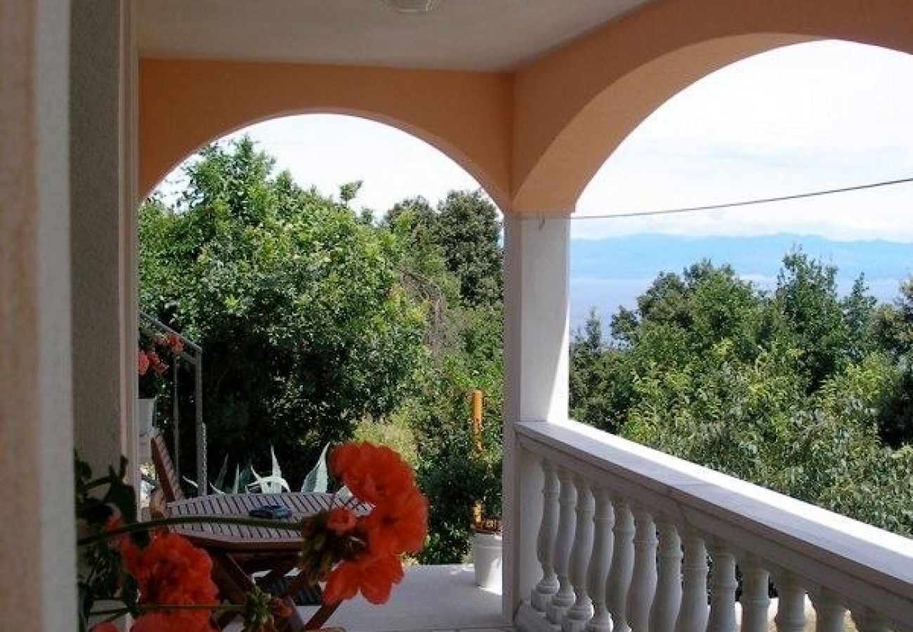 Ferienwohnung in Mošcenicka Draga - Ferienwohnung in Mošćenička Draga mit Meerblick, Loggia, Klimaanlage, W-LAN (4772-1)