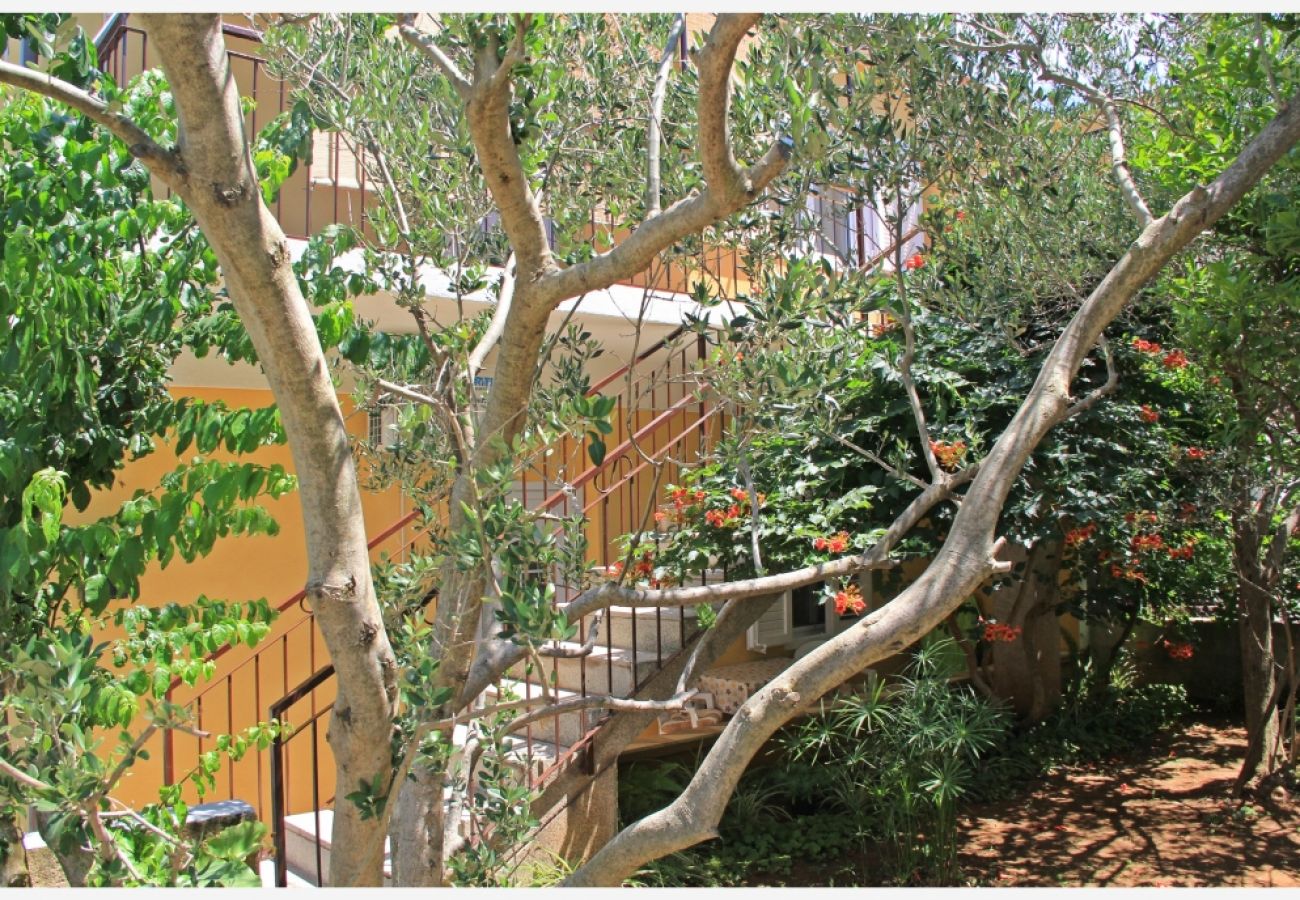 Ferienwohnung in Slatine - Ferienwohnung in Slatine mit Meerblick, Balkon, Klimaanlage, W-LAN (4782-1)