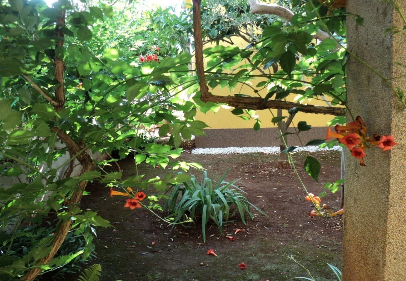 Ferienwohnung in Slatine - Ferienwohnung in Slatine mit Meerblick, Terrasse, Klimaanlage, W-LAN (4782-2)