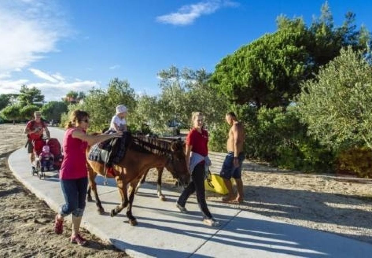 Ferienwohnung in Nin - Ferienwohnung in Zaton (Zadar) mit Balkon, Klimaanlage, W-LAN (4810-2)