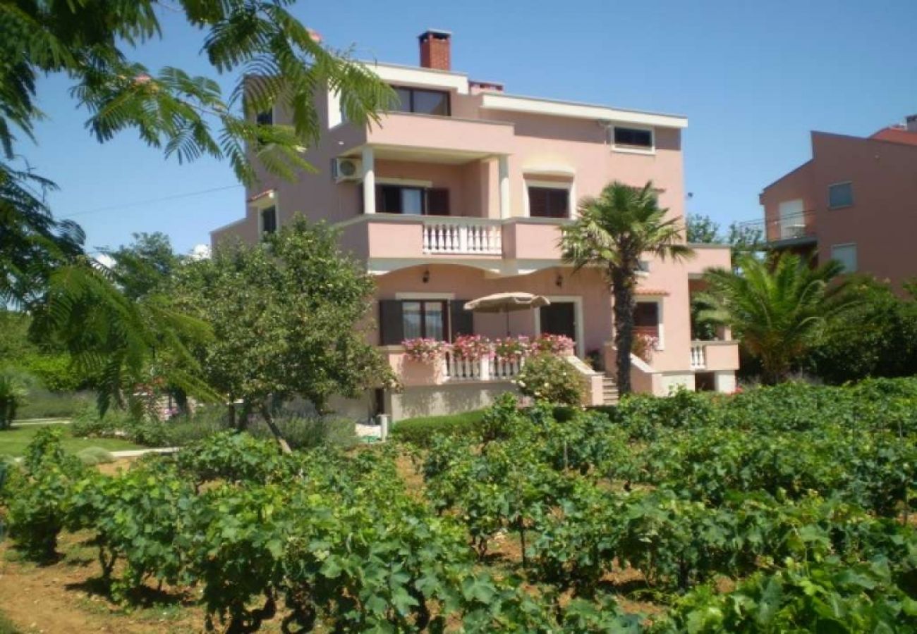 Ferienwohnung in Nin - Ferienwohnung in Zaton (Zadar) mit Meerblick, Loggia, Klimaanlage, W-LAN (4810-3)