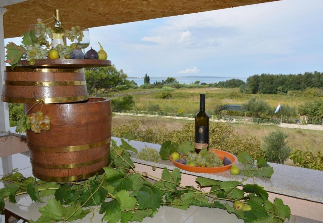 Ferienwohnung in Vrsi - Ferienwohnung in Vrsi mit Balkon, Klimaanlage, W-LAN (4824-5)