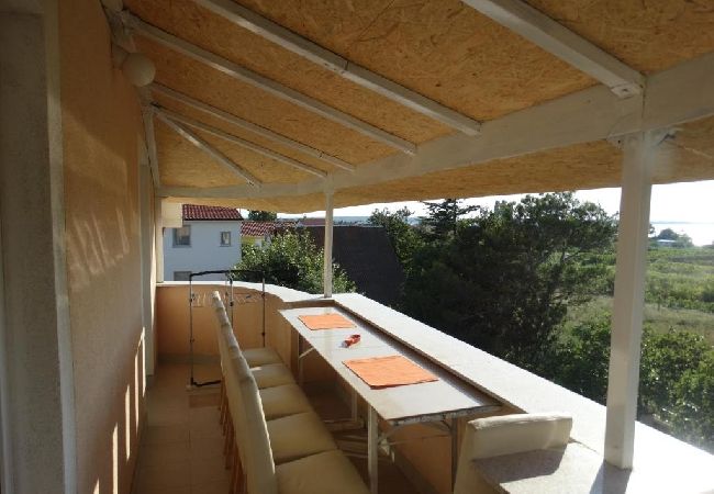 Ferienwohnung in Vrsi - Ferienwohnung in Vrsi mit Meerblick, Terrasse, Klimaanlage, W-LAN (4824-7) Ferienwohnung in Vrsi - Ferienwohnung in Vrsi mit Meerblick, Terrasse, Klimaanlage, W-LAN (4824-7)