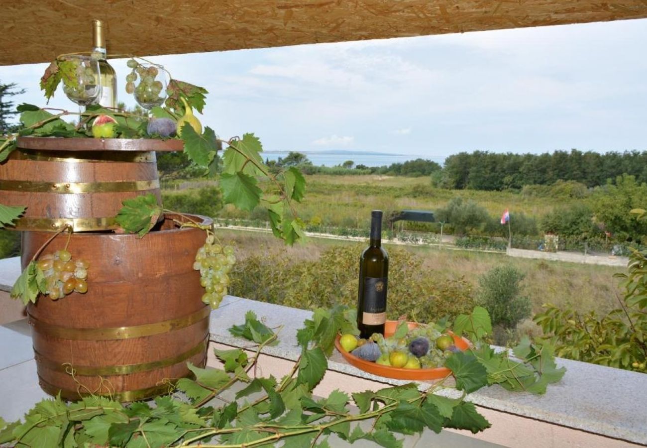 Ferienwohnung in Vrsi - Ferienwohnung in Vrsi mit Meerblick, Terrasse, Klimaanlage, W-LAN (4824-7)