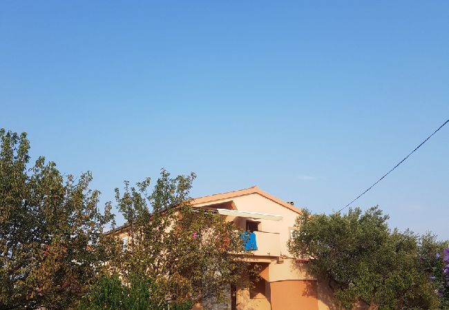 Ferienwohnung in Vrsi - Ferienwohnung in Vrsi mit Meerblick, Terrasse, Klimaanlage, W-LAN (4836-2) Ferienwohnung in Vrsi - Ferienwohnung in Vrsi mit Meerblick, Terrasse, Klimaanlage, W-LAN (4836-2)