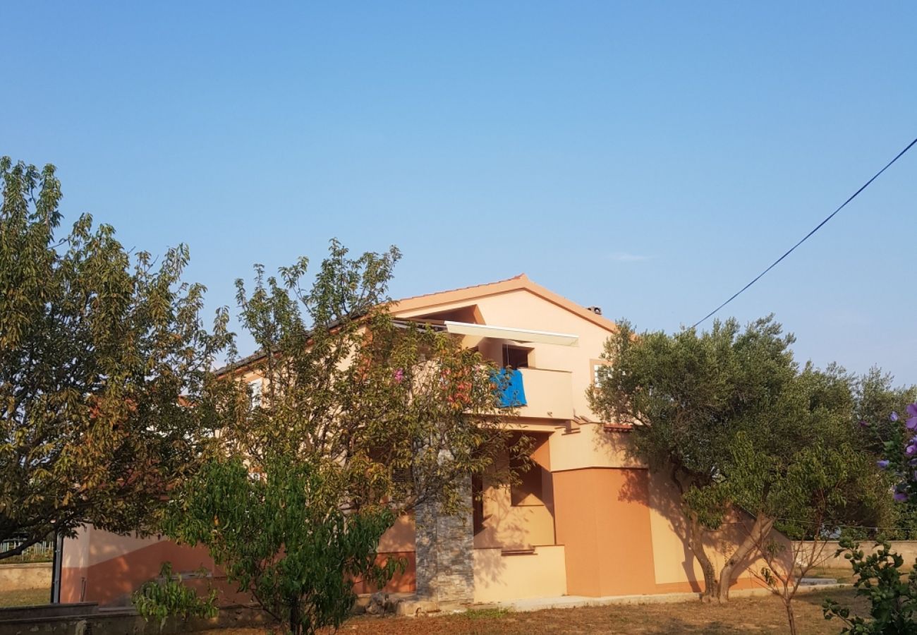 Ferienwohnung in Vrsi - Ferienwohnung in Vrsi mit Meerblick, Terrasse, Klimaanlage, W-LAN (4836-2)