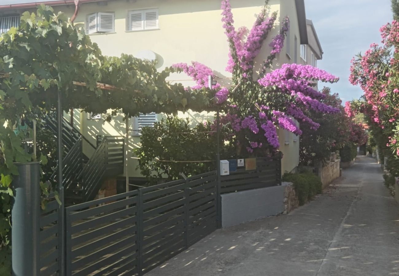 Ferienwohnung in Ždrelac - Ferienwohnung in Ždrelac mit Balkon, Klimaanlage, W-LAN, Spülmaschine (4834-3)