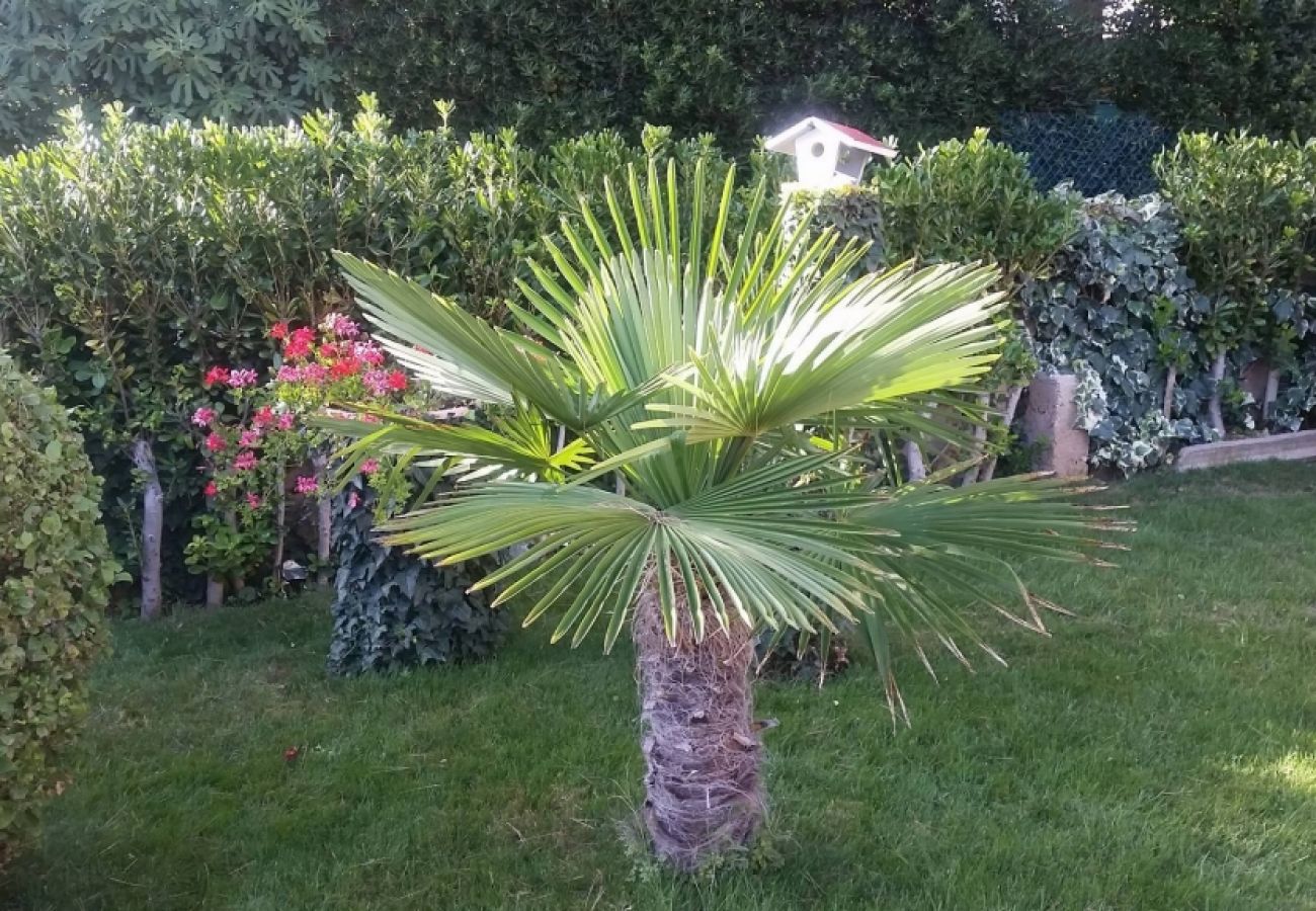 Ferienwohnung in Baška - Ferienwohnung in Baška mit Terrasse, Klimaanlage, W-LAN (4863-1)