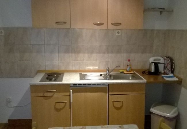 Ferienwohnung in Kustici - Ferienwohnung in Kustici mit Meerblick, Terrasse, Klimaanlage, W-LAN (4847-2) Ferienwohnung in Kustici - Ferienwohnung in Kustici mit Meerblick, Terrasse, Klimaanlage, W-LAN (4847-2)