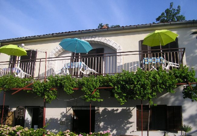Ferienwohnung in Icici - Ferienwohnung in Ičići mit Meerblick, Terrasse, W-LAN (4870-1) Ferienwohnung in Icici - Ferienwohnung in Ičići mit Meerblick, Terrasse, W-LAN (4870-1)