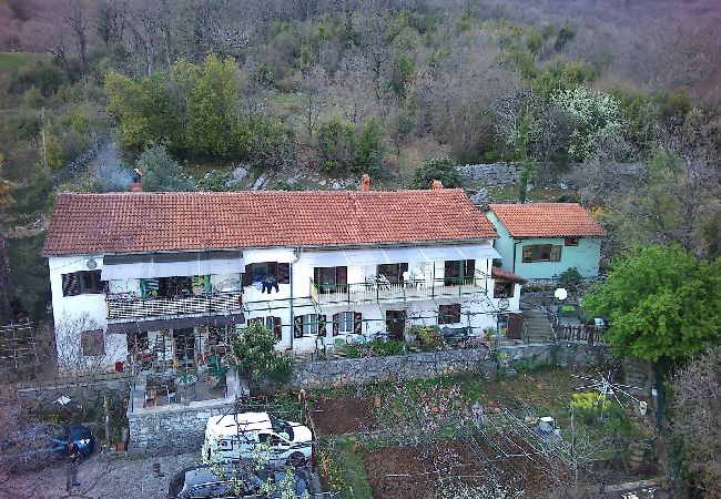 Ferienwohnung in Icici - Ferienwohnung in Ičići mit Meerblick, Terrasse, W-LAN (4870-1) Ferienwohnung in Icici - Ferienwohnung in Ičići mit Meerblick, Terrasse, W-LAN (4870-1)