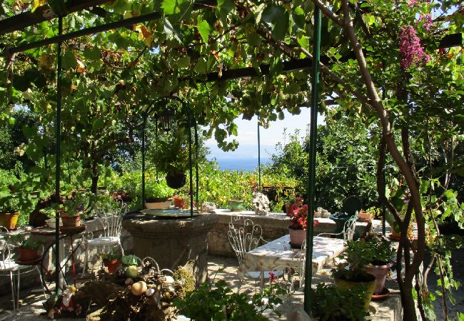 Ferienwohnung in Icici - Ferienwohnung in Ičići mit Meerblick, Terrasse, W-LAN (4870-3) Ferienwohnung in Icici - Ferienwohnung in Ičići mit Meerblick, Terrasse, W-LAN (4870-3)