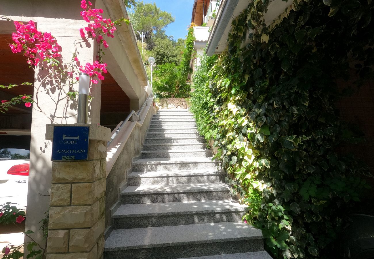 Ferienwohnung in Supetarska Draga - Ferienwohnung in Supetarska Draga mit Meerblick, Balkon, Klimaanlage, W-LAN (4861-1)