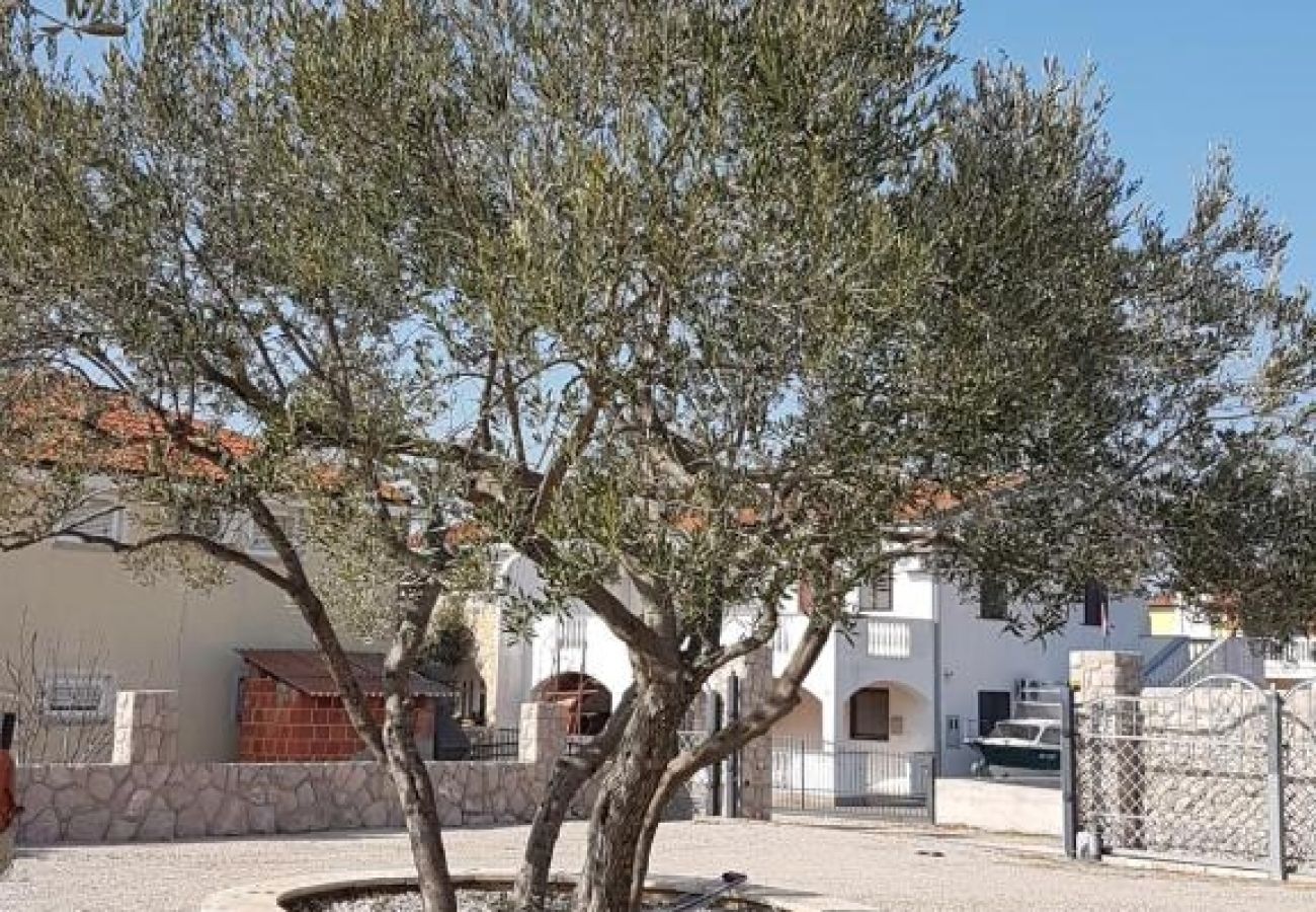 Ferienhaus in Drage - Ferienhaus in Drage mit Terrasse, Klimaanlage, W-LAN, Waschmaschine (4884-1)