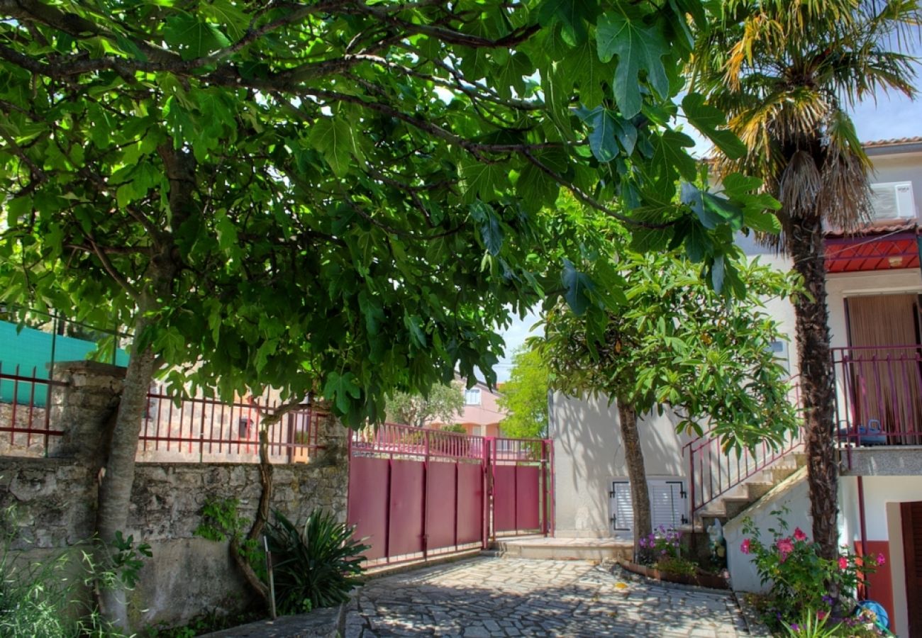 Ferienwohnung in Funtana - Ferienwohnung in Funtana mit Meerblick, Terrasse, Klimaanlage, W-LAN (4879-1)