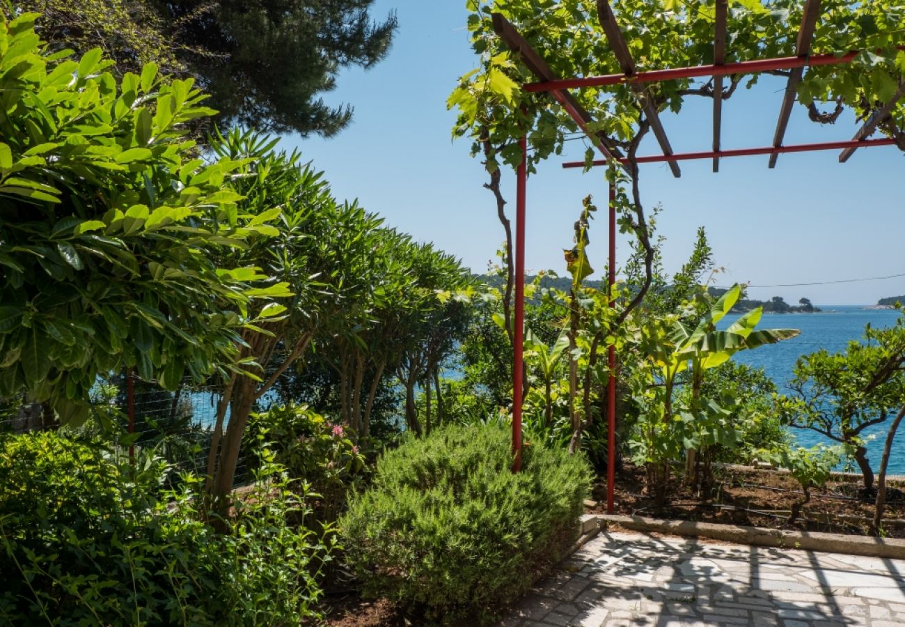 Ferienwohnung in Mali Lošinj - Ferienwohnung in Mali Lošinj mit Meerblick, Balkon, Klimaanlage, W-LAN (4896-4)