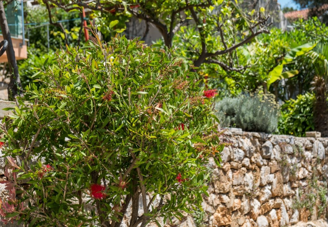 Ferienwohnung in Mali Lošinj - Ferienwohnung in Mali Lošinj mit Meerblick, Balkon, Klimaanlage, W-LAN (4896-4)