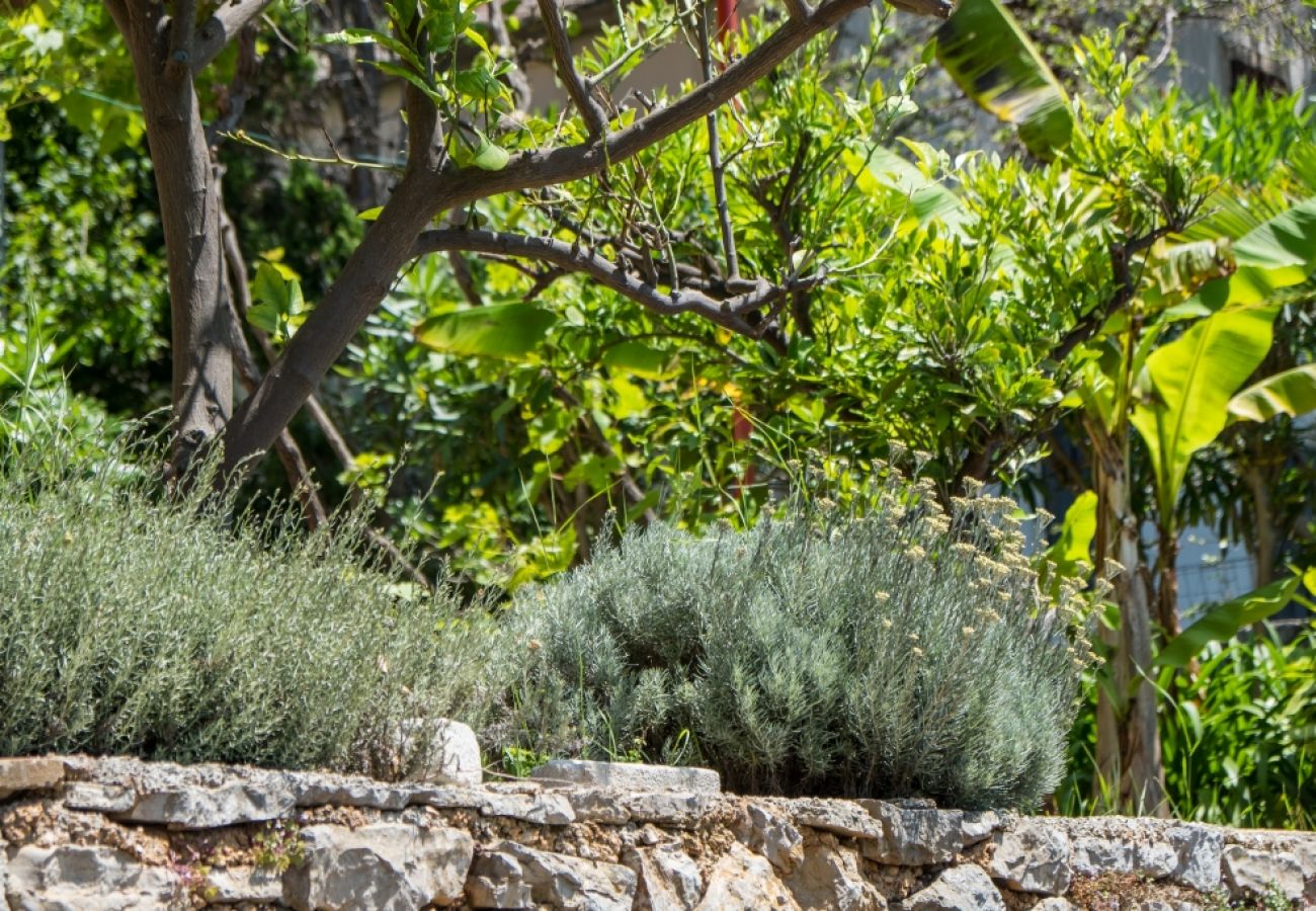 Ferienwohnung in Mali Lošinj - Ferienwohnung in Mali Lošinj mit Meerblick, Balkon, Klimaanlage, W-LAN (4896-4)