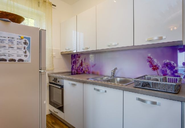 Ferienwohnung in Mali Lošinj - Ferienwohnung in Mali Lošinj mit Meerblick, Balkon, Klimaanlage, W-LAN (4896-2) Ferienwohnung in Mali Lošinj - Ferienwohnung in Mali Lošinj mit Meerblick, Balkon, Klimaanlage, W-LAN (4896-2)