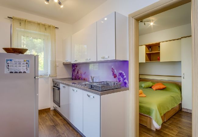 Ferienwohnung in Mali Lošinj - Ferienwohnung in Mali Lošinj mit Meerblick, Balkon, Klimaanlage, W-LAN (4896-2) Ferienwohnung in Mali Lošinj - Ferienwohnung in Mali Lošinj mit Meerblick, Balkon, Klimaanlage, W-LAN (4896-2)