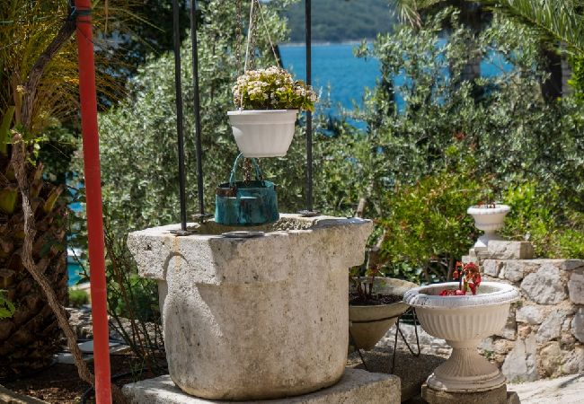 Ferienwohnung in Mali Lošinj - Ferienwohnung in Mali Lošinj mit Meerblick, Balkon, Klimaanlage, W-LAN (4896-1) Ferienwohnung in Mali Lošinj - Ferienwohnung in Mali Lošinj mit Meerblick, Balkon, Klimaanlage, W-LAN (4896-1)