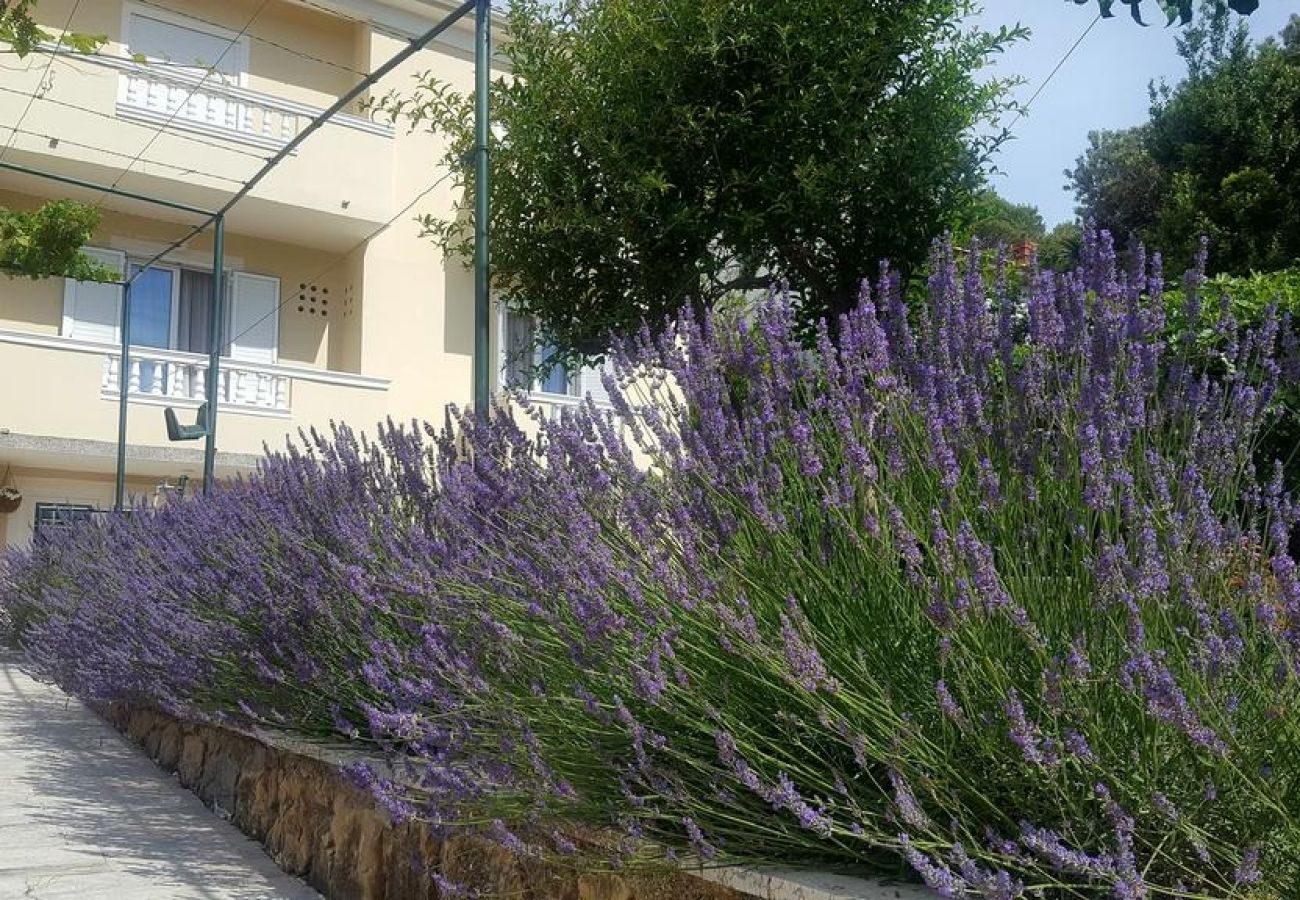 Ferienwohnung in Banjol - Ferienwohnung in Banjol mit Balkon, Klimaanlage, W-LAN, Spülmaschine (4888-1)