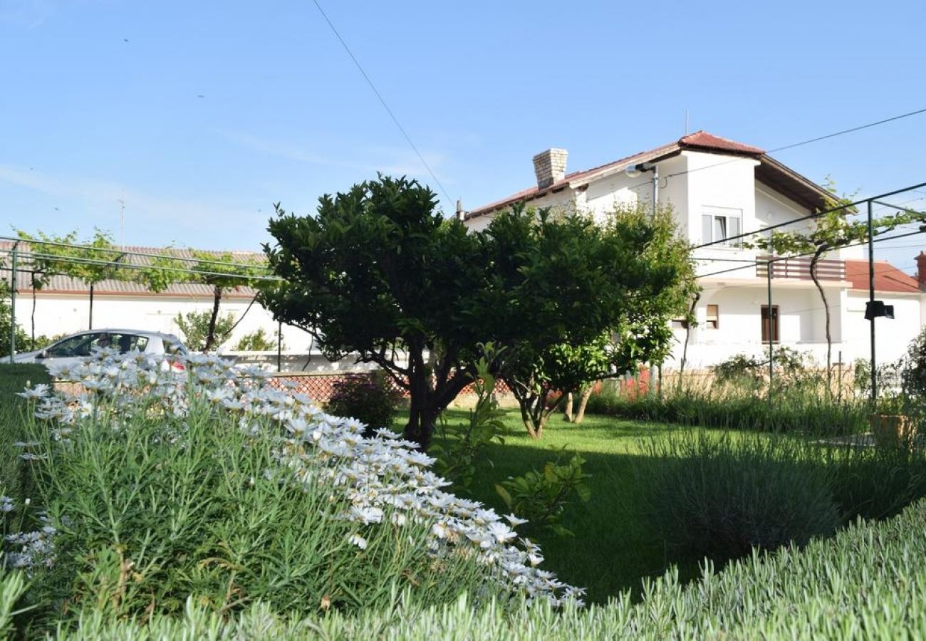 Ferienwohnung in Banjol - Ferienwohnung in Banjol mit Balkon, Klimaanlage, W-LAN, Spülmaschine (4888-1)