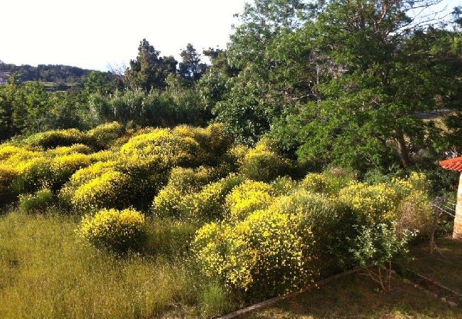 Ferienwohnung in Lopar - Ferienwohnung in Lopar mit Terrasse, Klimaanlage, W-LAN (4918-1) Ferienwohnung in Lopar - Ferienwohnung in Lopar mit Terrasse, Klimaanlage, W-LAN (4918-1)
