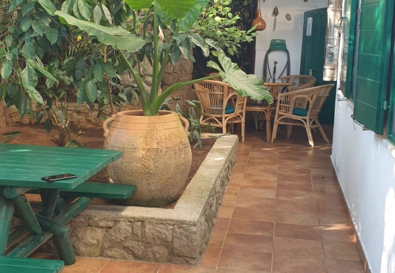 Ferienwohnung in Mali Lošinj - Ferienwohnung in Mali Lošinj mit Terrasse, Klimaanlage, W-LAN, Waschmaschine (4913-1)