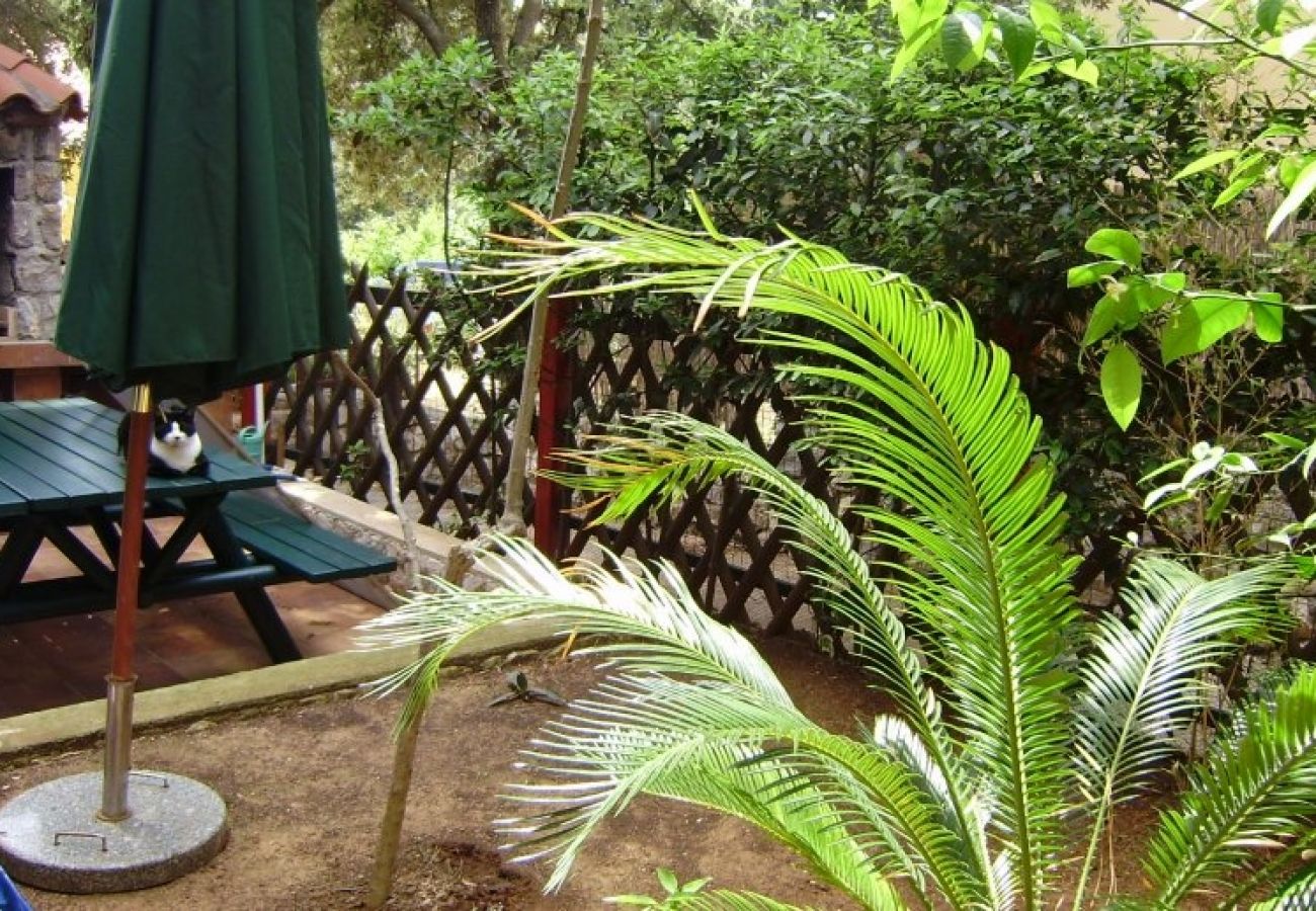 Ferienwohnung in Mali Lošinj - Ferienwohnung in Mali Lošinj mit Terrasse, Klimaanlage, W-LAN, Waschmaschine (4913-1)