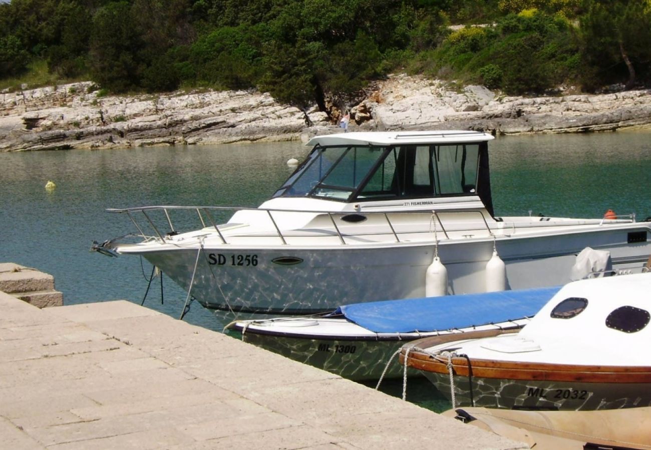 Ferienwohnung in Mali Lošinj - Ferienwohnung in Mali Lošinj mit Terrasse, Klimaanlage, W-LAN, Waschmaschine (4913-1)