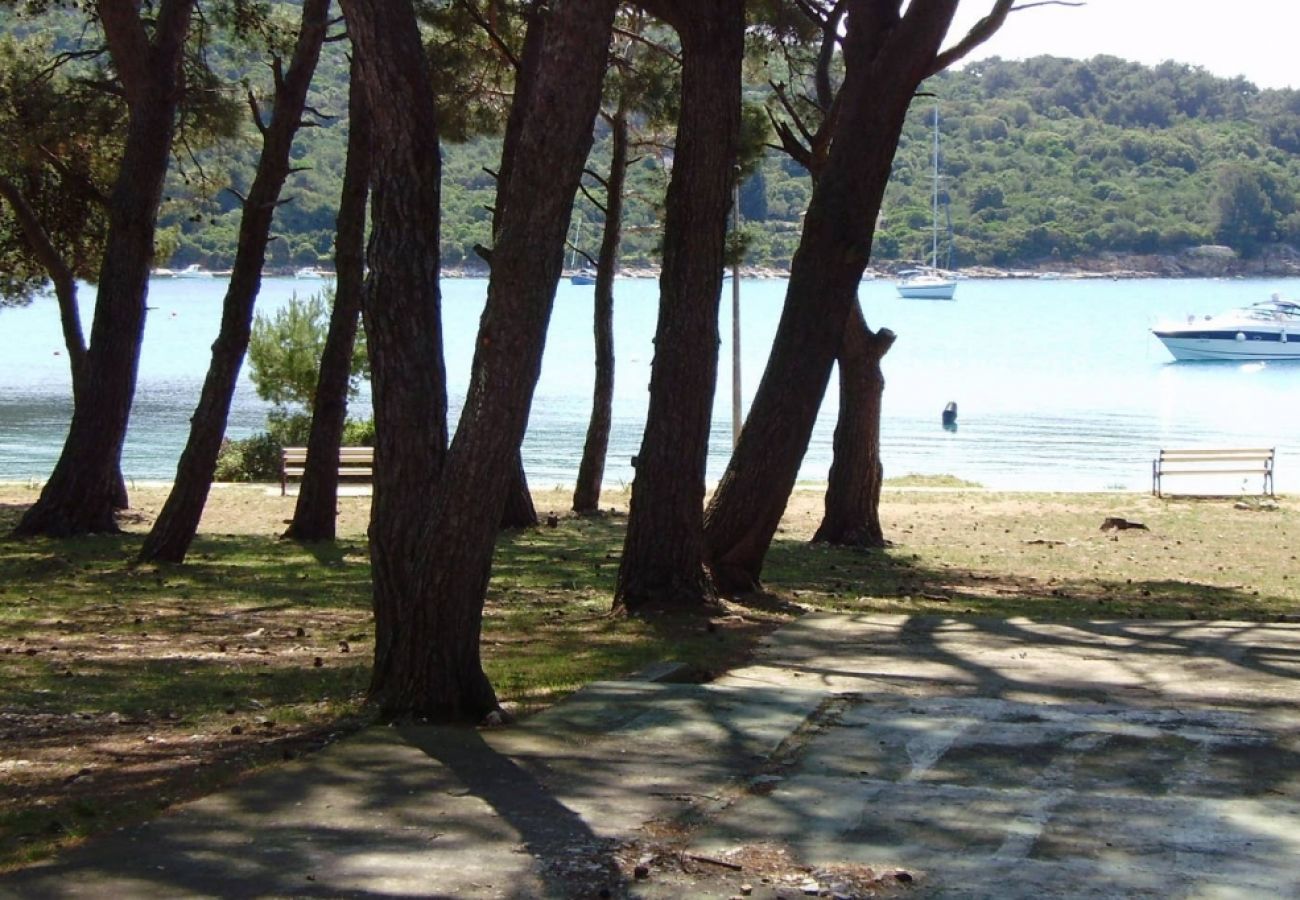 Ferienwohnung in Mali Lošinj - Ferienwohnung in Mali Lošinj mit Terrasse, Klimaanlage, W-LAN, Waschmaschine (4913-1)