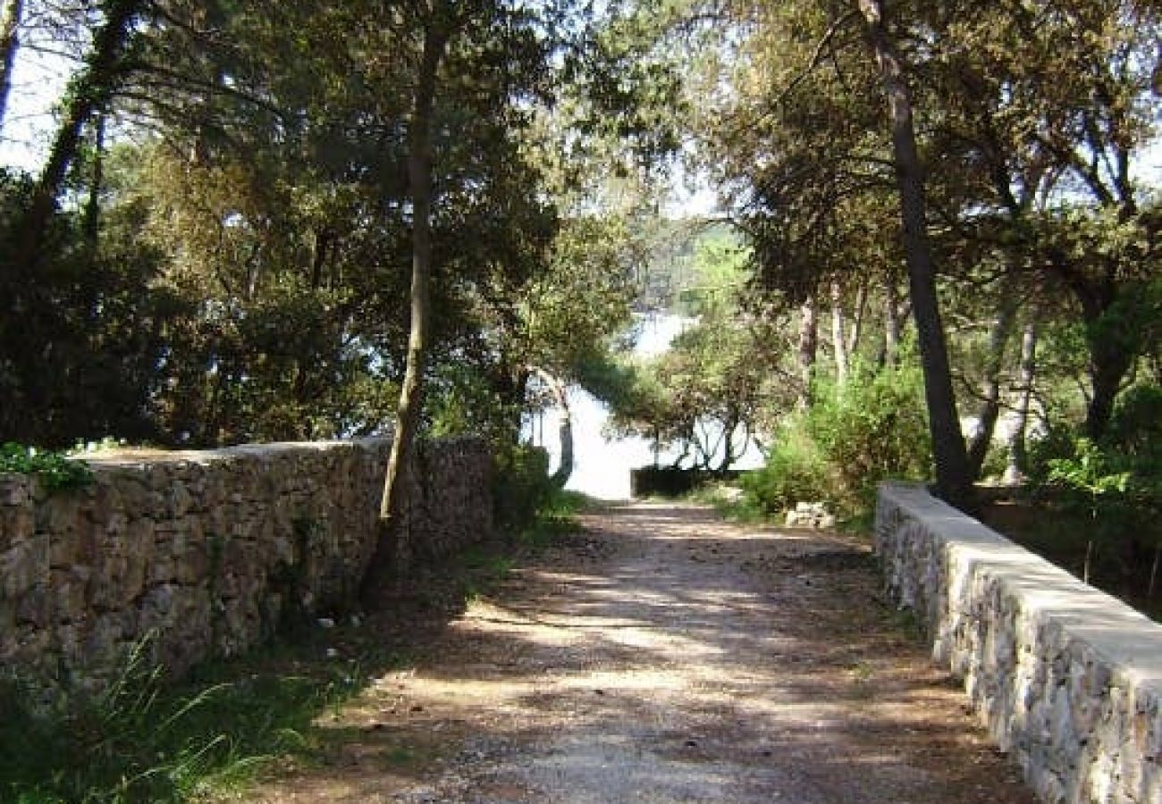 Ferienwohnung in Mali Lošinj - Ferienwohnung in Mali Lošinj mit Terrasse, Klimaanlage, W-LAN, Waschmaschine (4913-1)