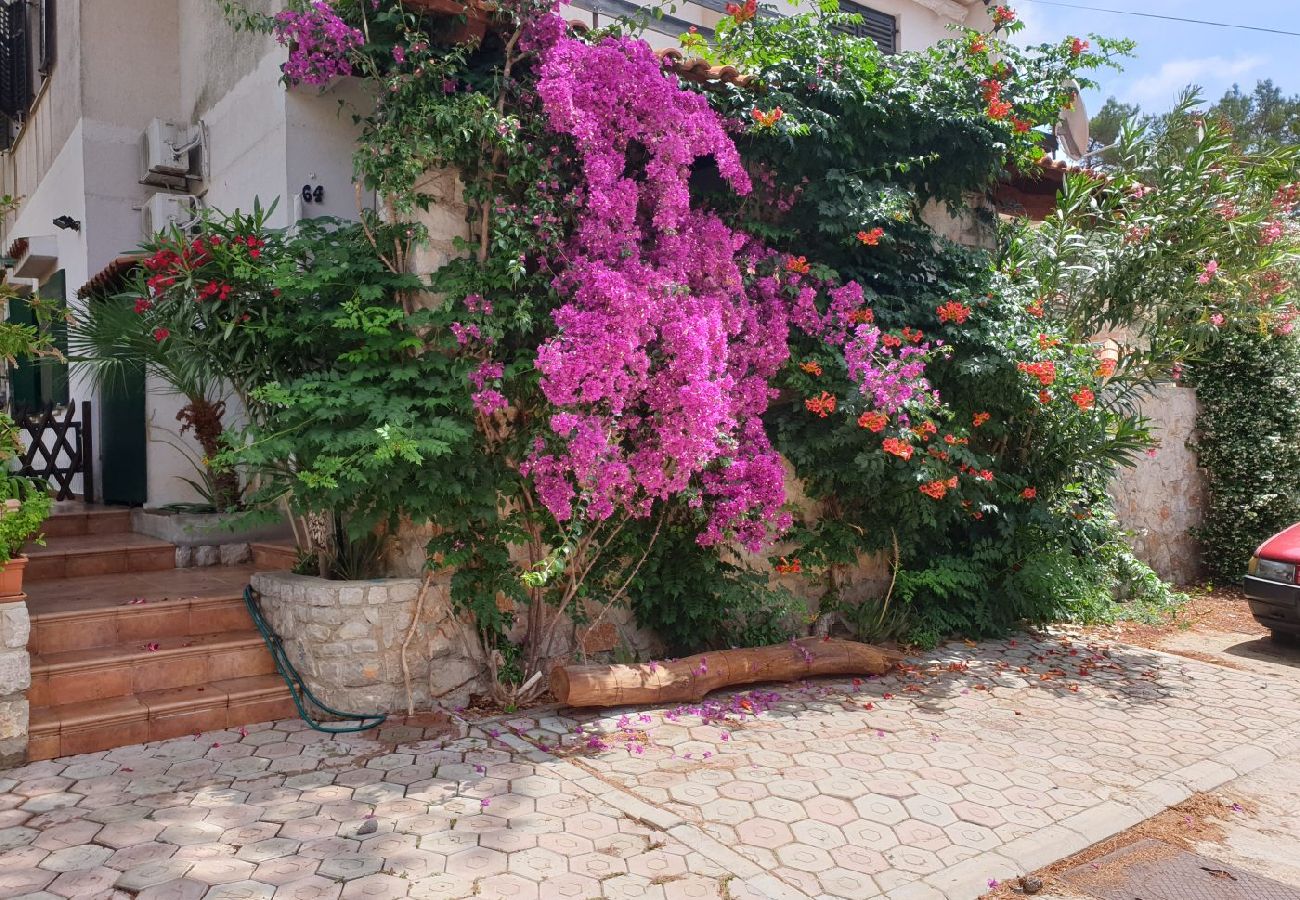 Ferienwohnung in Mali Lošinj - Ferienwohnung in Mali Lošinj mit Terrasse, Klimaanlage, W-LAN, Waschmaschine (4913-1)