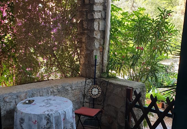 Studio in Mali Lošinj - Studioapartment in Mali Lošinj mit Terrasse, Klimaanlage, W-LAN (4913-2) Studio in Mali Lošinj - Studioapartment in Mali Lošinj mit Terrasse, Klimaanlage, W-LAN (4913-2)