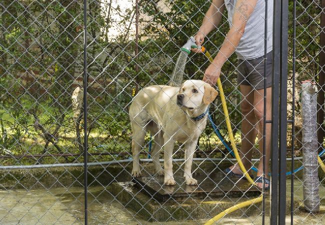 Ferienwohnung in Porec - Ferienwohnung in Poreč mit Terrasse, Klimaanlage, W-LAN, Waschmaschine (4928-8) Ferienwohnung in Porec - Ferienwohnung in Poreč mit Terrasse, Klimaanlage, W-LAN, Waschmaschine (4928-8)