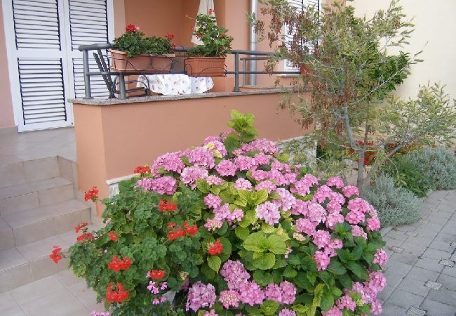 Ferienwohnung in Sukošan - Ferienwohnung in Sukošan mit Balkon, Klimaanlage, W-LAN (4941-1) Ferienwohnung in Sukošan - Ferienwohnung in Sukošan mit Balkon, Klimaanlage, W-LAN (4941-1)