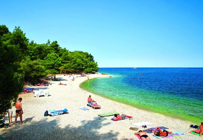 Ferienwohnung in Zambratija - Ferienwohnung in Zambratija mit Meerblick, Terrasse, Klimaanlage, W-LAN (4961-1) Ferienwohnung in Zambratija - Ferienwohnung in Zambratija mit Meerblick, Terrasse, Klimaanlage, W-LAN (4961-1)