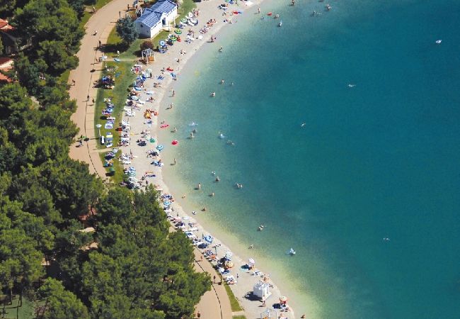 Ferienwohnung in Zambratija - Ferienwohnung in Zambratija mit Meerblick, Terrasse, Klimaanlage, W-LAN (4961-1) Ferienwohnung in Zambratija - Ferienwohnung in Zambratija mit Meerblick, Terrasse, Klimaanlage, W-LAN (4961-1)