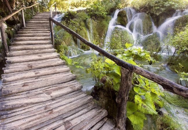 Zimmeranmietung in Rakovica - Zimmer in Rakovica mit W-LAN (4958-1) Zimmeranmietung in Rakovica - Zimmer in Rakovica mit W-LAN (4958-1)