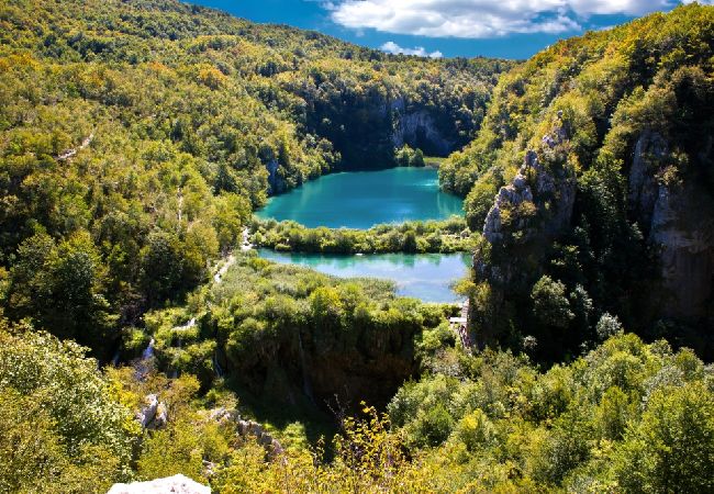 Zimmeranmietung in Rakovica - Zimmer in Rakovica mit W-LAN (4958-1) Zimmeranmietung in Rakovica - Zimmer in Rakovica mit W-LAN (4958-1)