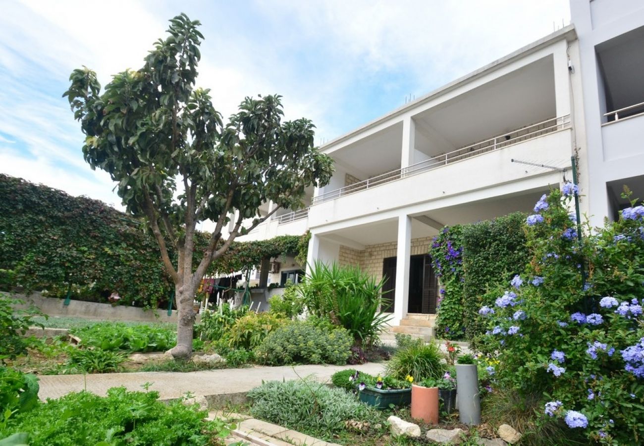 Ferienwohnung in Duce - Ferienwohnung in Duće mit Meerblick, Terrasse, Klimaanlage, W-LAN (4969-1)