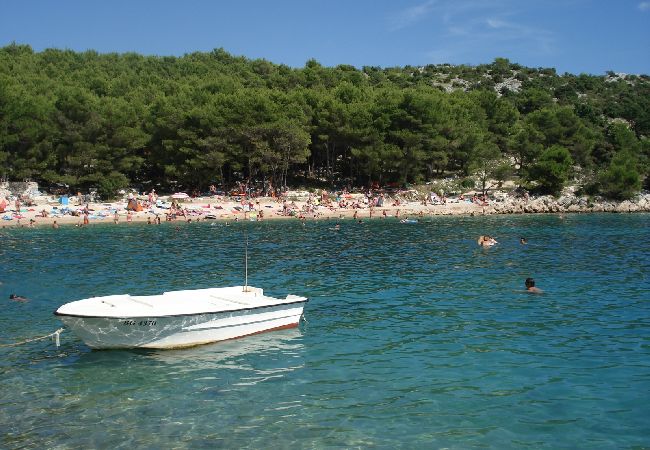 Ferienwohnung in Drage - Ferienwohnung in Drage mit Balkon, Klimaanlage, W-LAN (5013-1) Ferienwohnung in Drage - Ferienwohnung in Drage mit Balkon, Klimaanlage, W-LAN (5013-1)