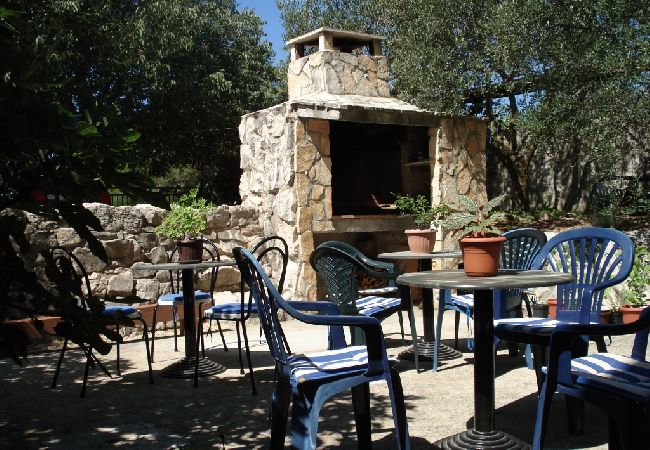 Ferienwohnung in Drage - Ferienwohnung in Drage mit Balkon, Klimaanlage, W-LAN (5013-4) Ferienwohnung in Drage - Ferienwohnung in Drage mit Balkon, Klimaanlage, W-LAN (5013-4)