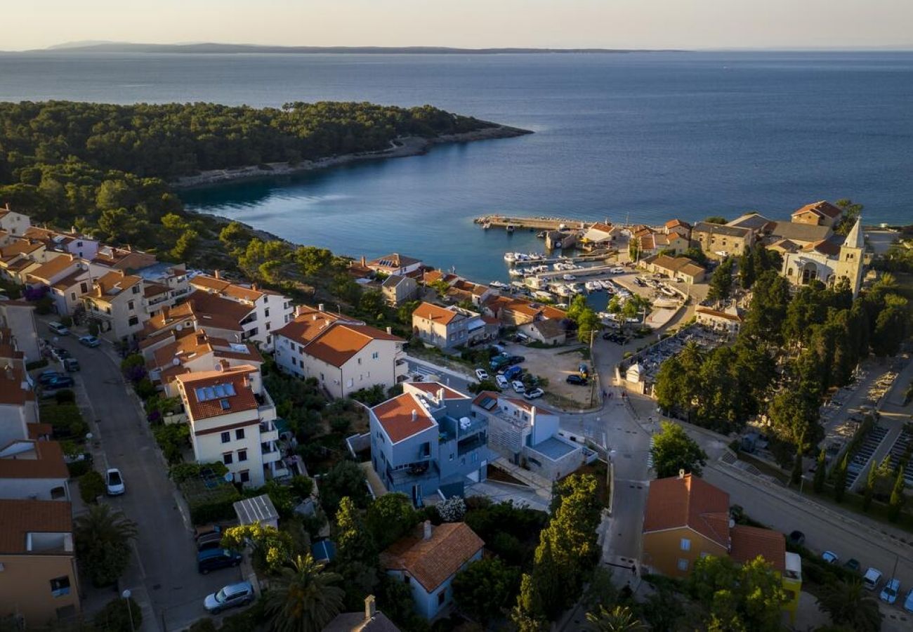 Ferienwohnung in Mali Lošinj - Ferienwohnung in Mali Lošinj mit Meerblick, Terrasse, Klimaanlage, W-LAN (4927-1)